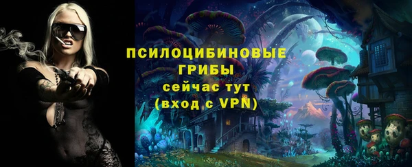 гидра Верхнеуральск
